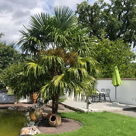 Am Pferdemarkt Apartman Konz
