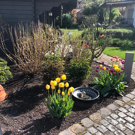 Am Pferdemarkt Daire *