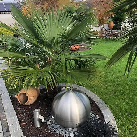 Appartement Am Pferdemarkt