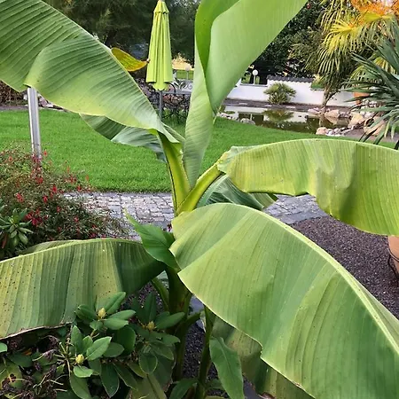 Appartement Am Pferdemarkt Konz