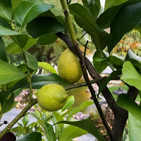 Am Pferdemarkt Appartement Konz