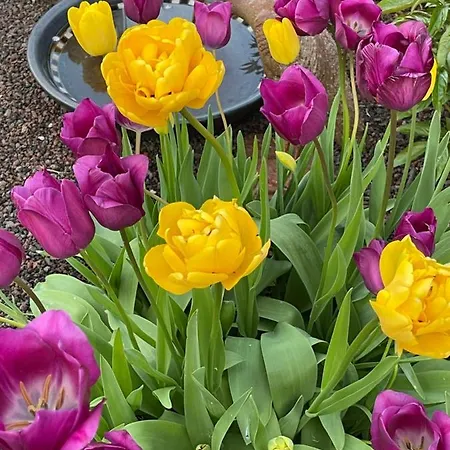 Am Pferdemarkt Appartement