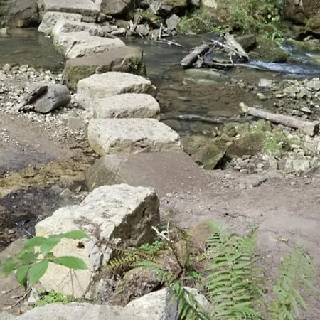 Am Pferdemarkt Appartement *