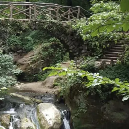 Am Pferdemarkt Appartement