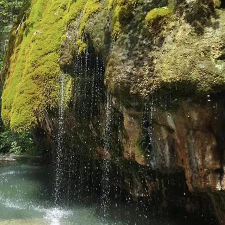Am Pferdemarkt Appartement Konz