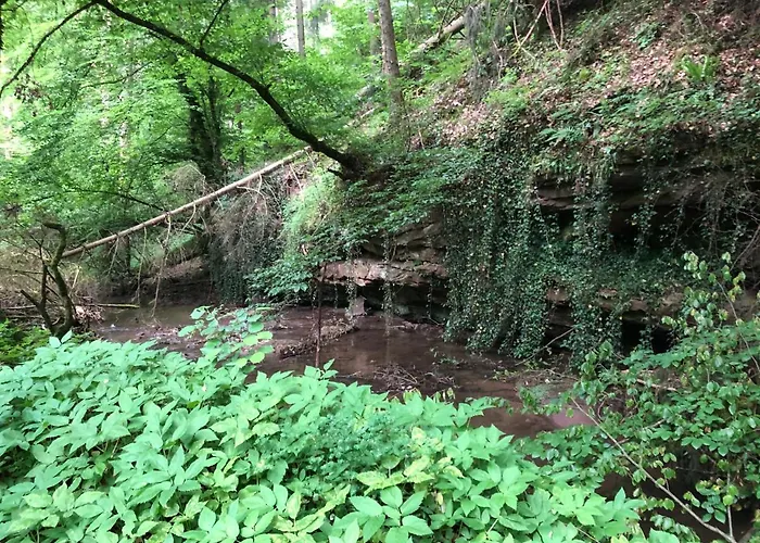 Am Pferdemarkt * コンツ