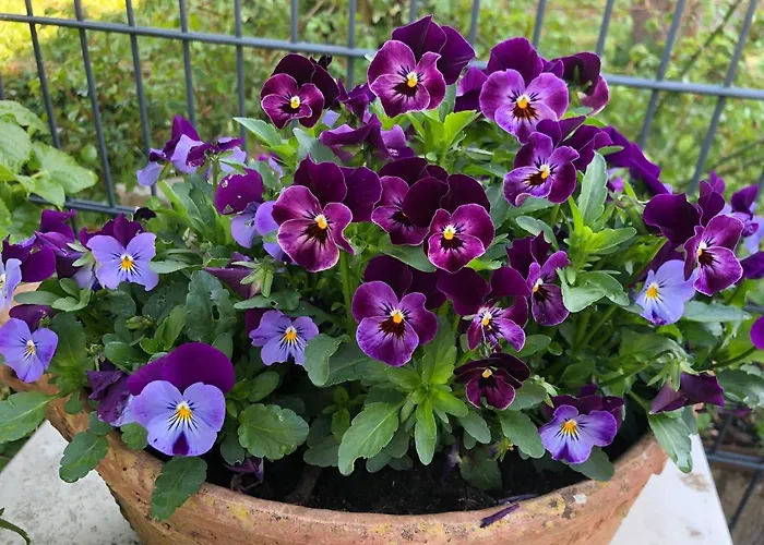 Am Pferdemarkt Apartamento *