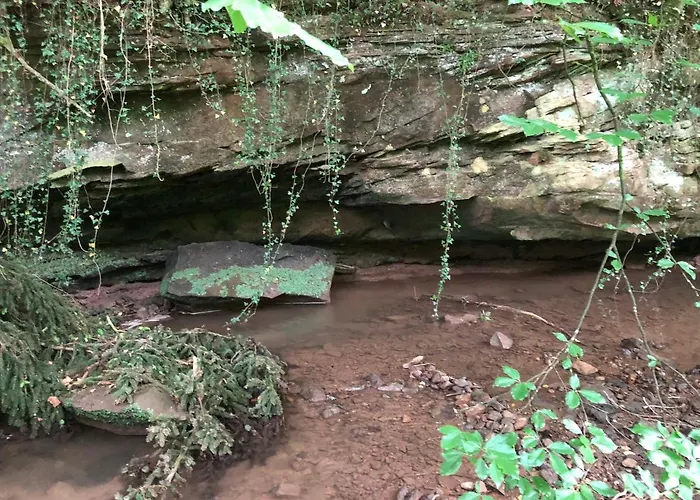 Am Pferdemarkt アパート