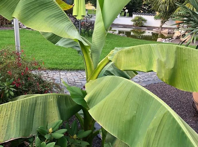 Apartamento Am Pferdemarkt Konz