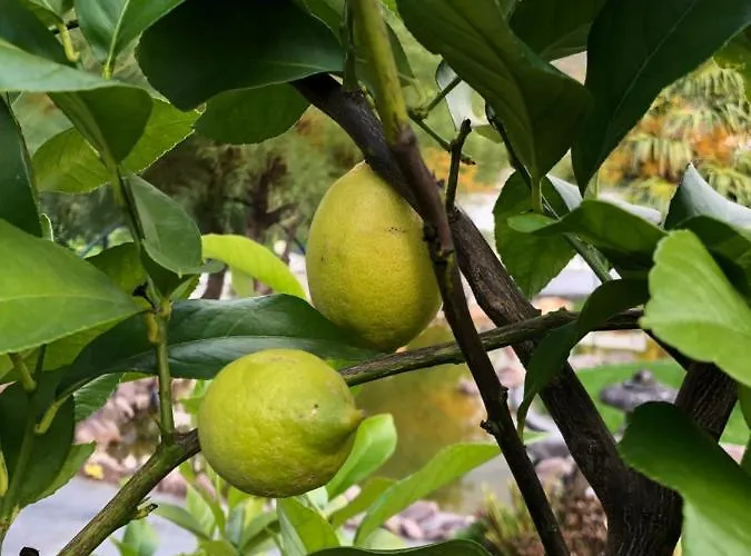 Am Pferdemarkt Apartamento Konz