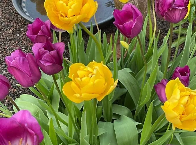 Am Pferdemarkt Apartamento