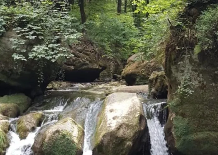 Am Pferdemarkt Apartamento